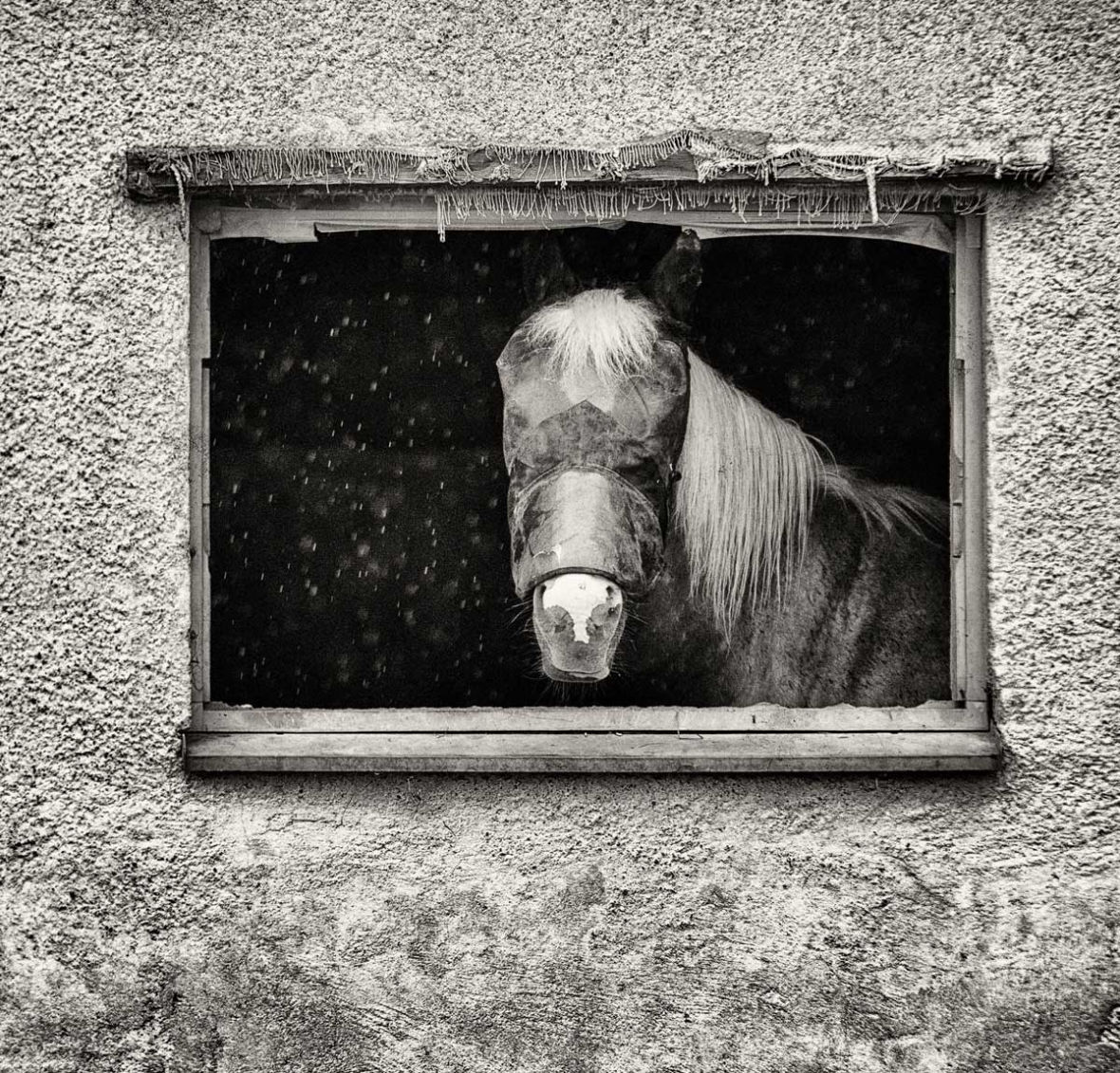 innere Bilder